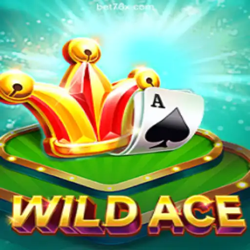 Discover the Thrilling World of WildAce: An Exciting Casino Adventure